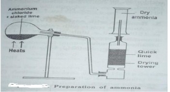 Preparation of Ammonia
