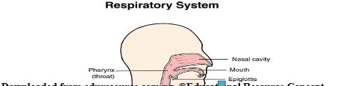 Breathing